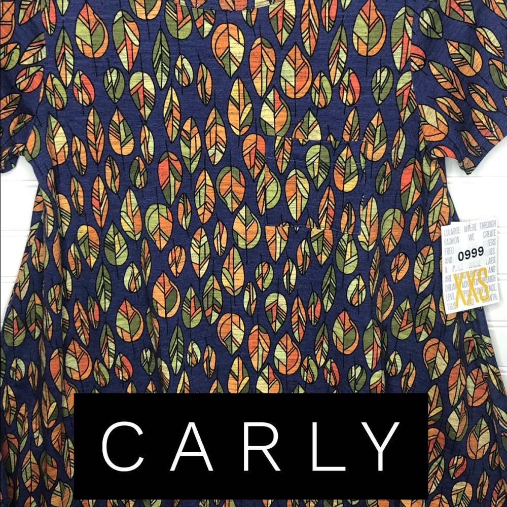 XXS NWT LULAROE CARLY DRESS